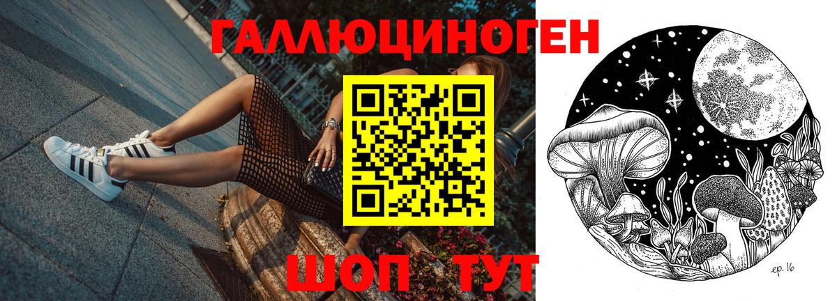 Псилоцибиновые грибы MAGIC MUSHROOMS Муравленко