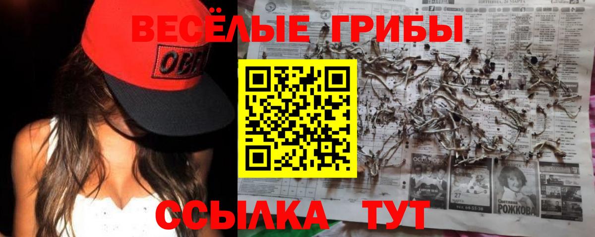 Галлюциногенные грибы Psilocybine cubensis  Галлюциногенные грибы ЛСД  Вход с VPN  наркошоп  Муравленко 
