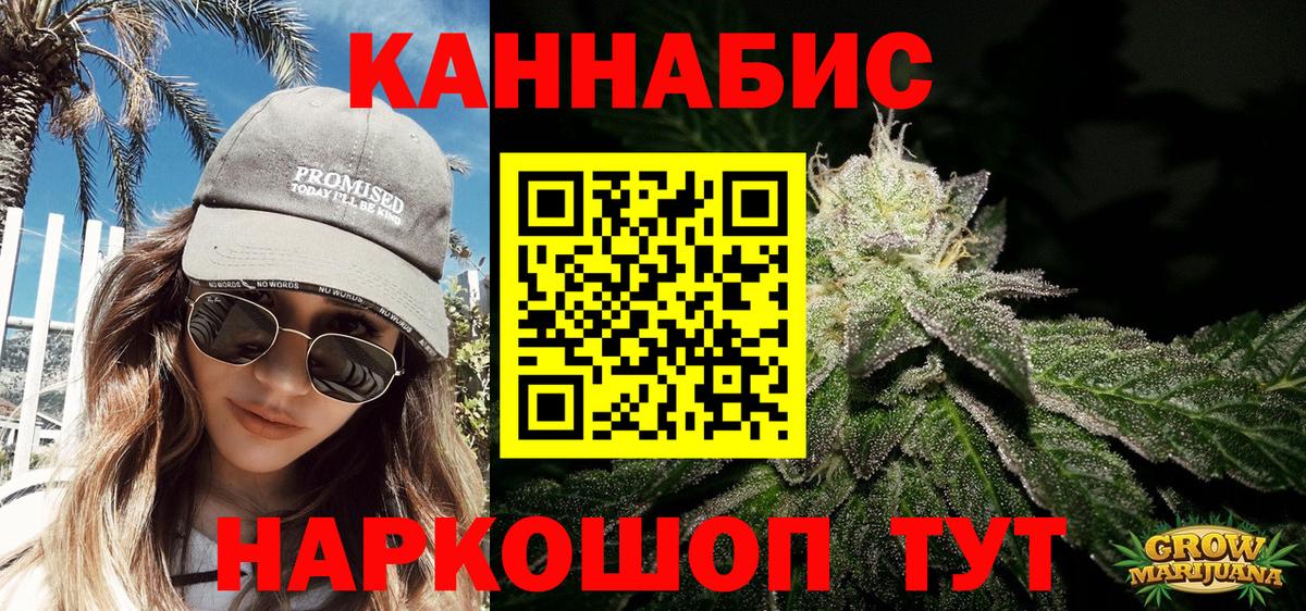 Конопля планчик Муравленко